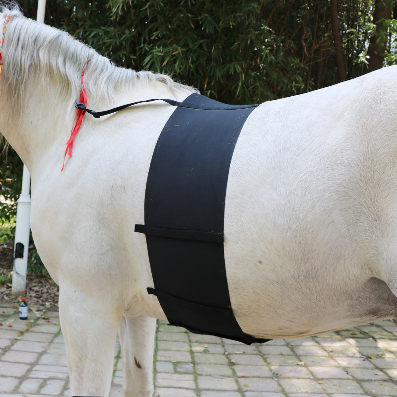 Belly guard elastic bandage horse belly guard belt protection horse belly bandage elastic belly guard belt horse with eight feet dragon harness