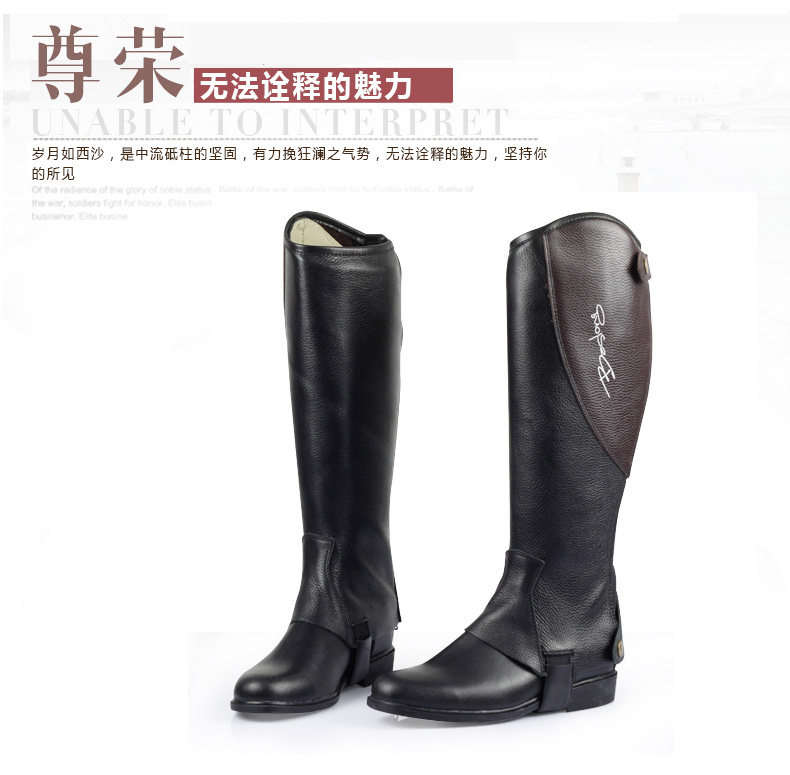 Article sports equestres BASLONG - Ref 1381252 Image 14