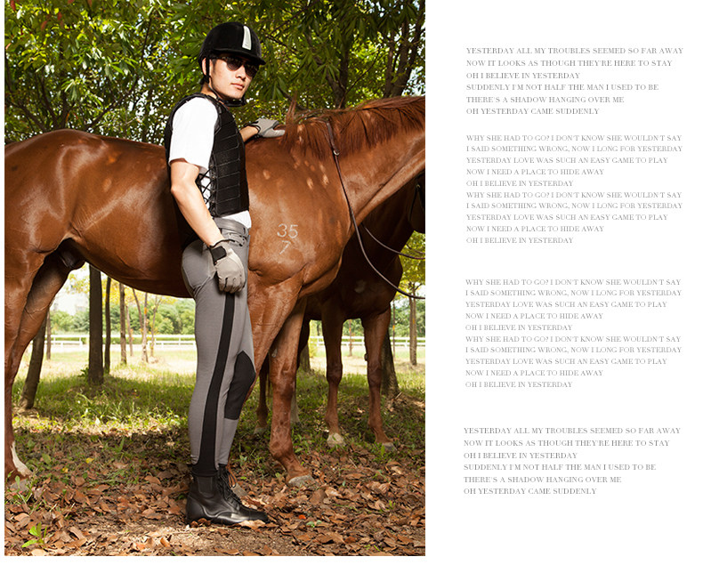 Article équitation BASLONG - Ref 1380440 Image 16