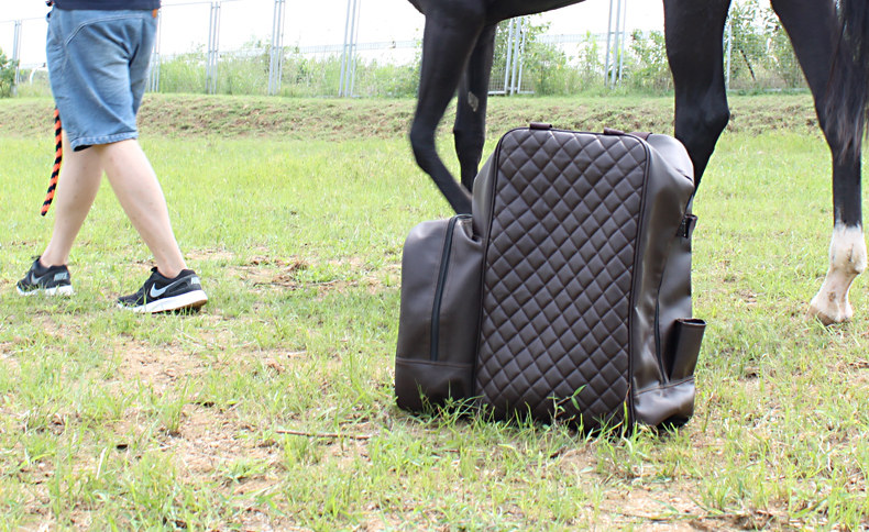 Article sports equestres BASLONG - Ref 1387414 Image 19