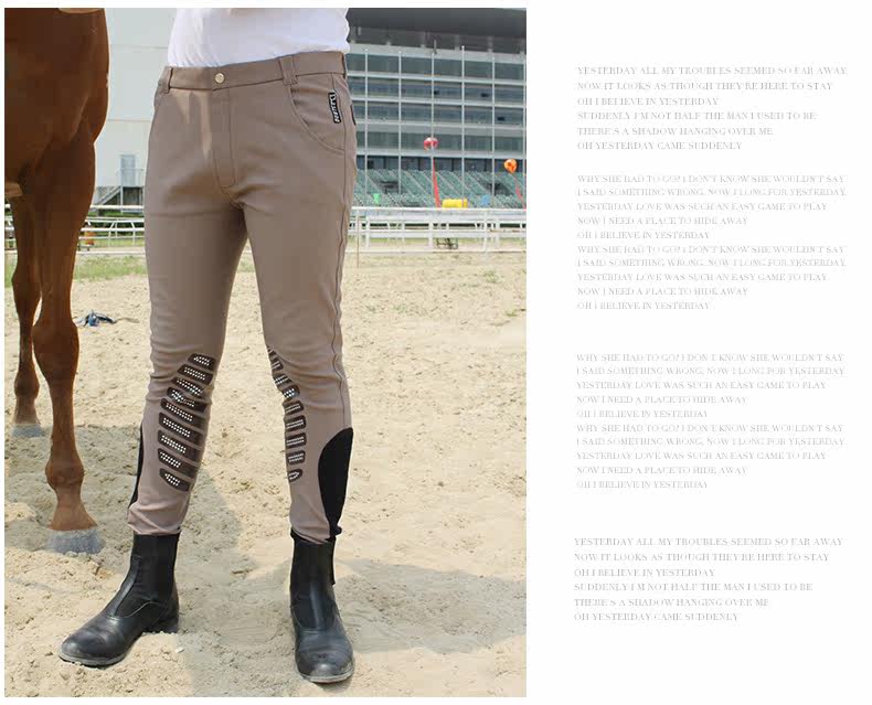 Article sports equestres BASLONG - Ref 1382014 Image 15