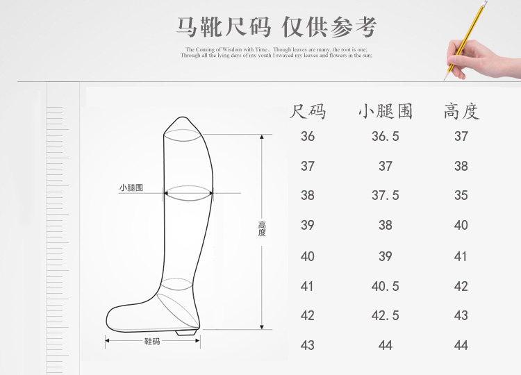 Article équitation barrières bottes BASLONG - Ref 1382117 Image 23