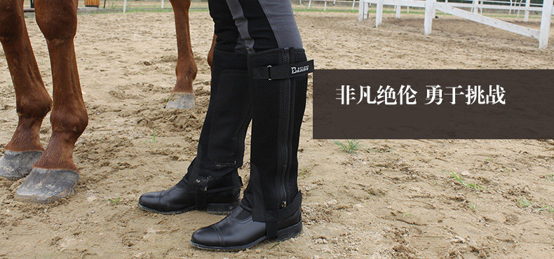 Article sports equestres BASLONG - Ref 1381058 Image 6