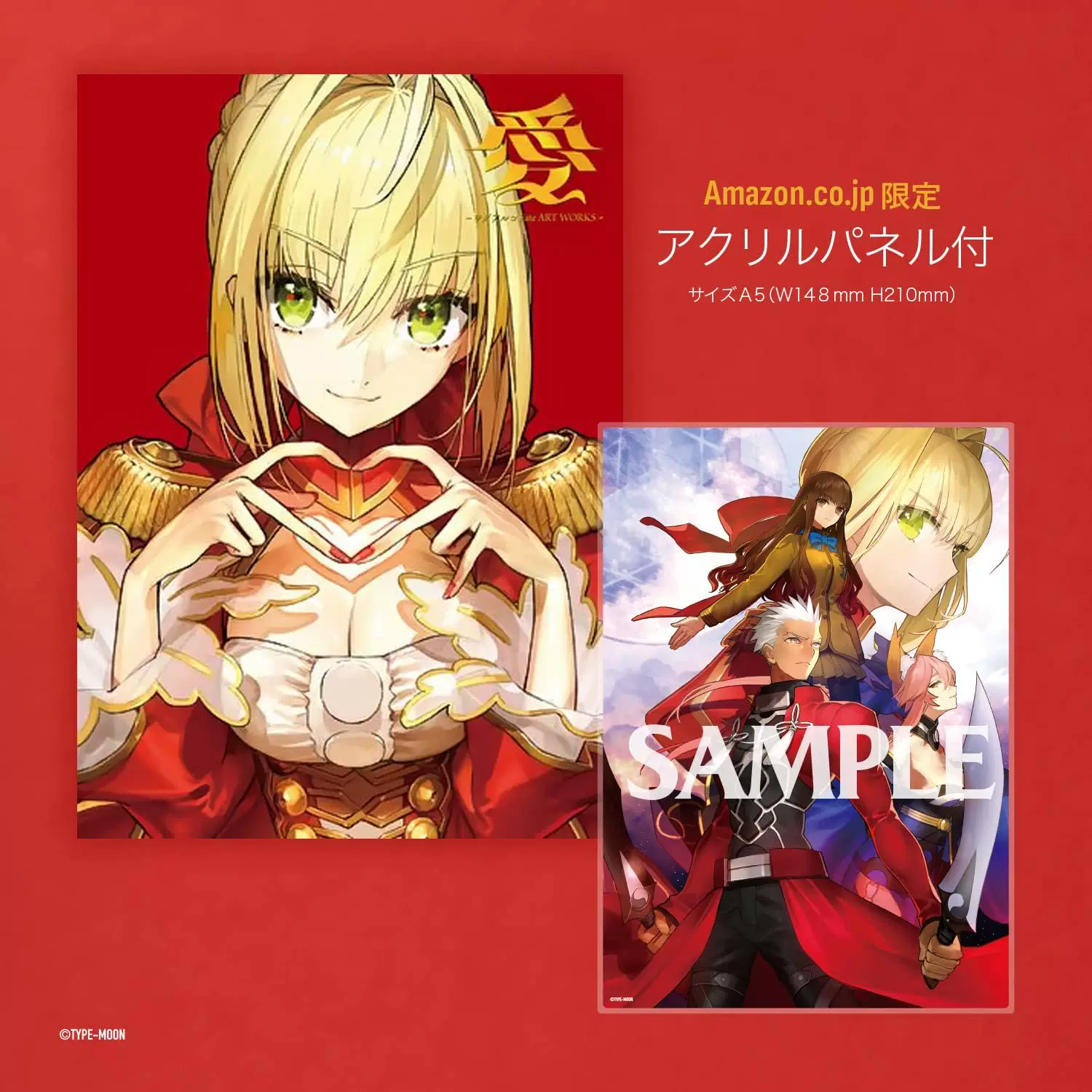 Распродажа в марте/заказ требуется/Kadokawa альбом картин/любовь -ワダアルコ Fate ART WORKS-