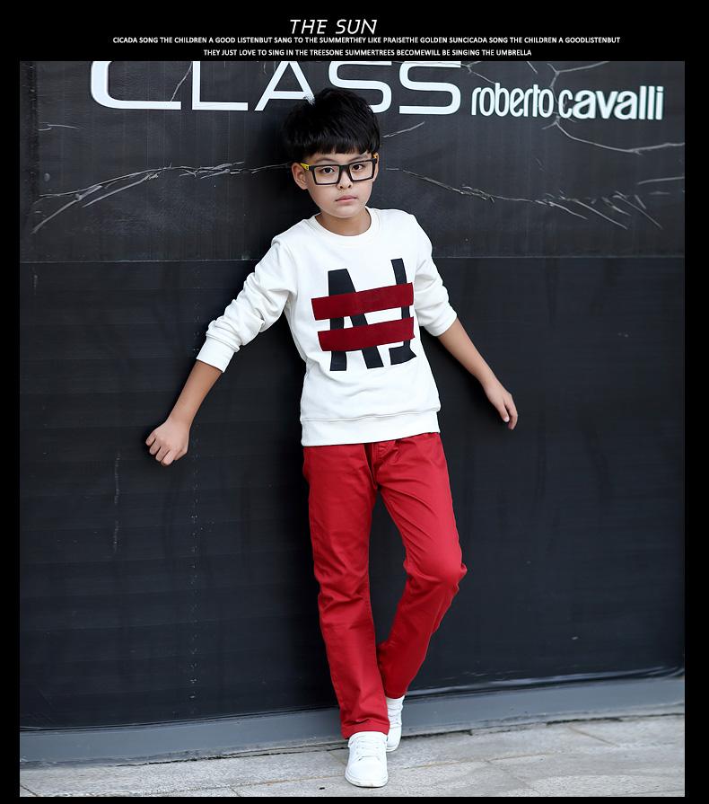 Pantalon garcon mxbn1506 en coton - Ref 2054494 Image 32