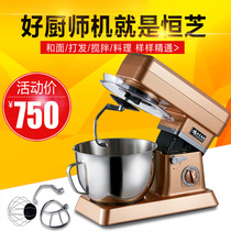 Hengzhi 7L commercial mixer cake chef machine electric dough mixer egg-beating milk creamer mixer and dough machine for home use