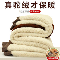 Camel wool cotton pants mens thickening and fleece wool pants middle-aged and elderly high-waist sweater pants womens inner wear bottoming warm pants winter