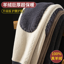 Ordos cashmere pants mens warm pants thickened and velvet middle-aged and elderly high-waist cotton pants womens bottoming wool pants winter