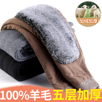 Winter cotton pants 100% cashmere pants mens thickened plus velvet warm pants womens wool pants loose middle-aged and elderly high waist winter