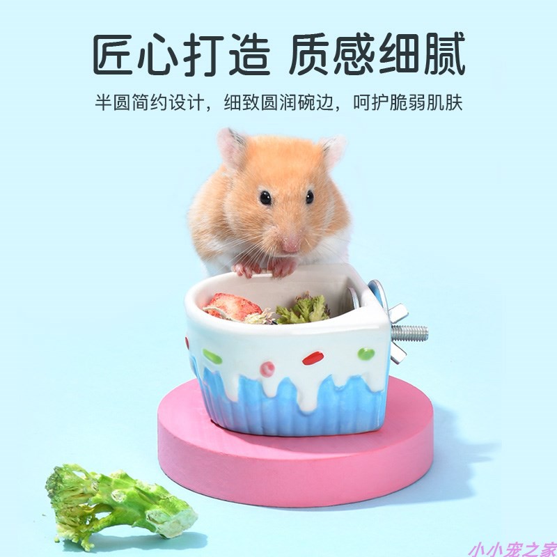 宠物喂食神器：陶瓷碗金丝熊蜜袋鼯食盆，告别食物飞溅难题！🐾🌈