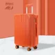 Vitality Orange Vocal (Case Libu)