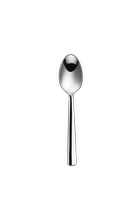 (Gift) Stainless Steel Spoon