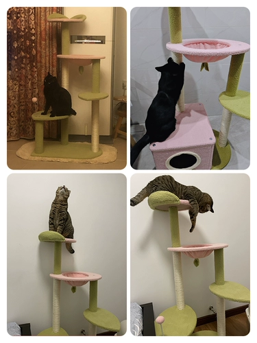 Кошка поднимает стойку для кошачьего гнезда кошачьи дерево интегрированное твердое древесину, мечи Тяньчжу, колонны Цзянь Ма захватывают колонны, не занимающие высокие виллы с высоким масштабами, кошки