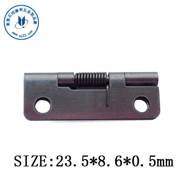Guangdong supplies 201 stainless steel spring hinge elastic hinge Automatic closed hinge 5*8 6*0 5