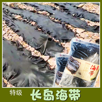 Shandong Changdao special belt glue East Dachin Island specialty salt-free natural drying nutrition delicious