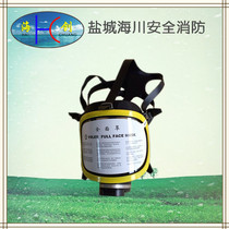 Gas mask respirator protection device full mask gas and dustproof full mask full mask protective face screen