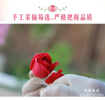  Yunnan rose flowers Edible rose bracts Fresh rose petals Yunnan specialty air transport 3 kg