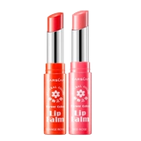 Carslan, помада, увлажняющий водостойкий бальзам для губ, не выцветает