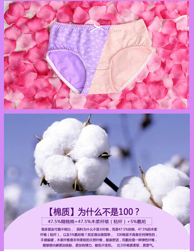 Slip jeunesse PLANDOO P216226TF-3 en coton - Ref 642647 Image 13