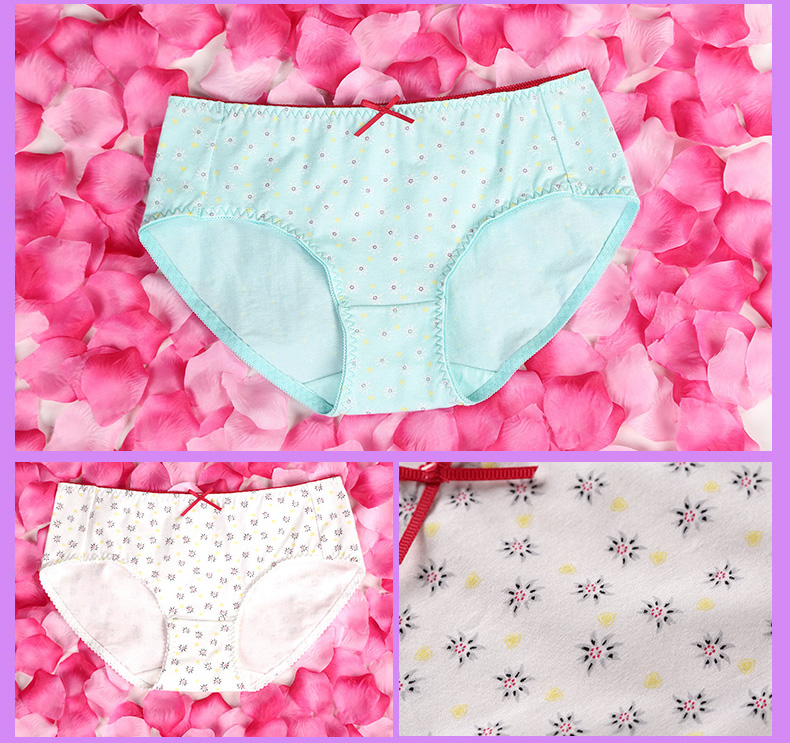 Slip jeunesse PLANDOO P216226-3 en coton - Ref 663722 Image 22