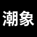 潮象家装店的LOGO