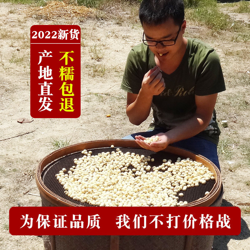 2022 New goods Zhengzhou Jianning Lotus Seed Dry Goods 500g Go to Core Fujian Fresh Handmade Sulphur White Lotus Seed Jianlian
