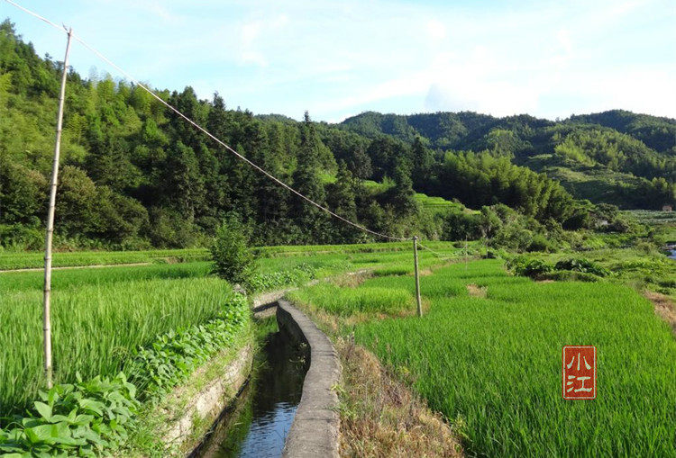 Tb2pmnpoffxxxxxwxfxxxxxxxxxxx _ !! 706987764_ph copy .jpg