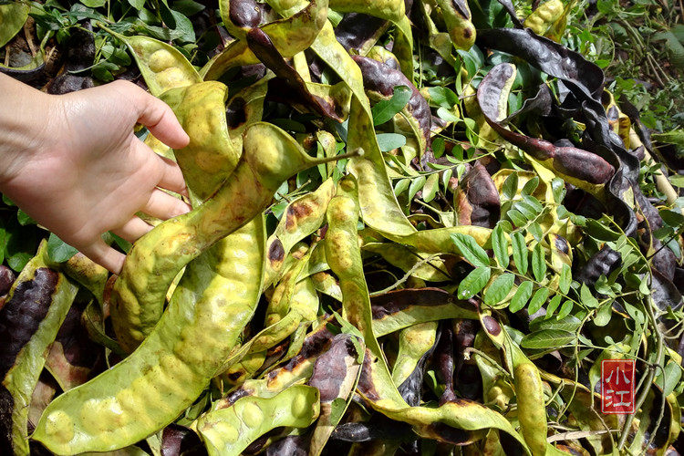 Tb2not4jpxxxxbzxpxxxxxxx_ !!