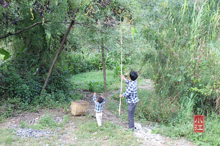 Tb2lwqejpxxxxc0xxxxxxxxxx _ !!