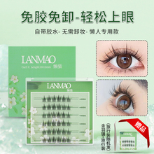 Non adhesive sunflower eyelashes for women, segmented large eyes, repeated self-adhesive, lazy novice mothers, natural jelly, fake eyelashes