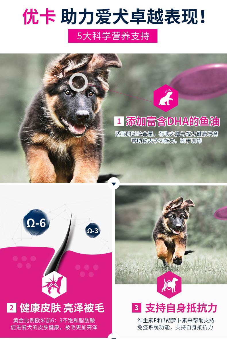 [Chính thức xác thực] Eukanuba / Youka chó con chó lớn thức ăn chính Golden Retriever thức ăn cho chó loại Demu phổ quát - Chó Staples thức ăn chó
