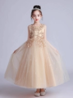 CK683 Жилет шампанского [подписаться на отправку короны]