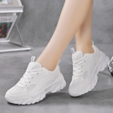 2025 Spring Mesh Tracing Shoes Jazz Женская спортивная танце