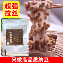 Japan imported Natto powder High purity leavening agent Natto plant Natto species Natto 5