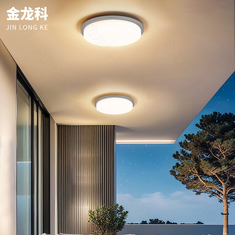 Outdoor Waterproof Ceiling Light, Courtyard Balcony Light, Corridor Aisle Light, Outdoor Terrace Pavilion Entrance Door Ceiling Light Outdoor Waterproof Ceiling Light, Courtyard Balcony Light, Corridor Aisle Light, Outdoor Terrace Pavilion Entrance Door Ceiling Light
