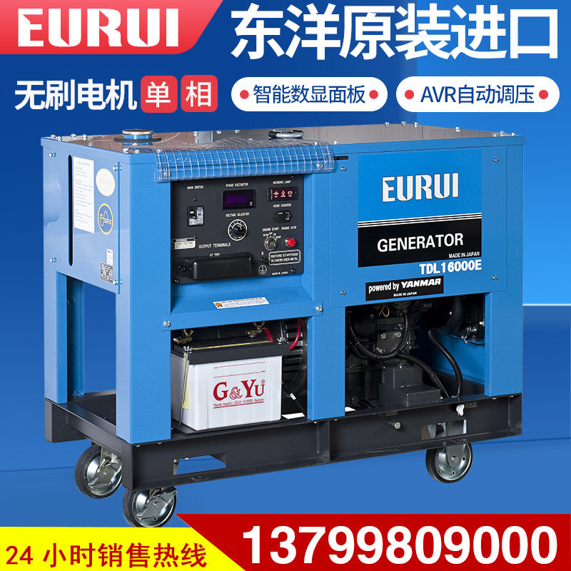 Japan Toyo TDL16000ETDL22000E12 16KVA diesel generator set single-phase 220V electric start