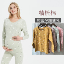 Pregnant women cotton breast-feeding clothes pregnancy autumn clothes cotton at the end of the month spring autumn feeding jacket pajamas