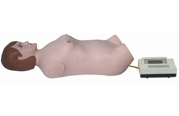 全自动腹部触诊听诊模拟人（单机版）/临床诊断模型/高级腹部模型