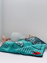 Daily Single Pure Cotton Soft Cut Mark Miyazaki Miyazaki Miyazaki Emergency Pence Gigi Cat Embroidered Butterfly Knots