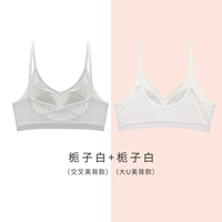Gardenia White (Cross Beauty Back)+Gardenia White (Da U Mei Back)