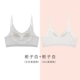 Gardenia White (Cross Beauty Back)+Gardenia White (Da U Mei Back)