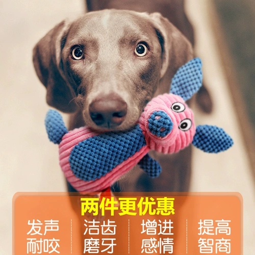 Игрушки-компаньоны для собак, чистка зубов и резка зубов для щенков, французские собачьи бои, Тедди, корги, сиба-ину, щенок, артефакт для облегчения скуки домашних животных