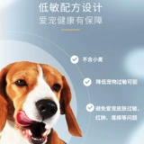 PRIMEAST FOOD СОБАКА 15 КГ Средние большие собаки щенки золоты