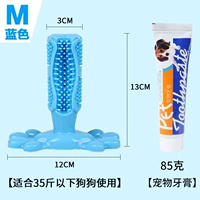 Синяя среда+зубная паста