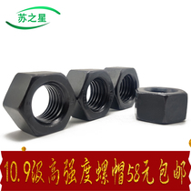 10 Class 9 Nut Hexagon Nut M10M12M14M16M18M20M22M24M27M30M36M42