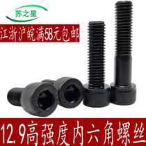 12 Class 9 Hexagon Socket Screw Bolt M6M8M10M12