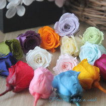 primavera Japanese imported brand Eternal Flower Flower Flower Rose 2cm Mini Cute Type Flower Head