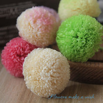 Ping-pong chrysanthemum Japanese land farm imported eternal flower flower flower with flower DIY flower box press box