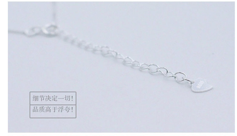 Bracelet de cheville Femme 3099 en Argenterie - Ref 3103109 Image 10