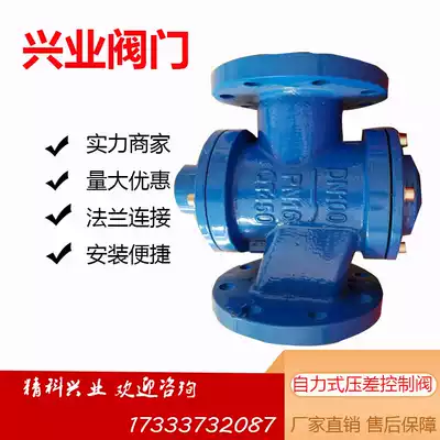 Ductile iron self-operated differential pressure flow paint flange control valve dn50 65 80 100 ZY47F